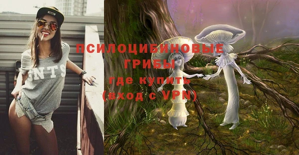 дмт Алексеевка