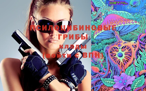прущая мука Алзамай