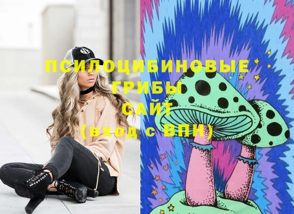 прущая мука Алзамай